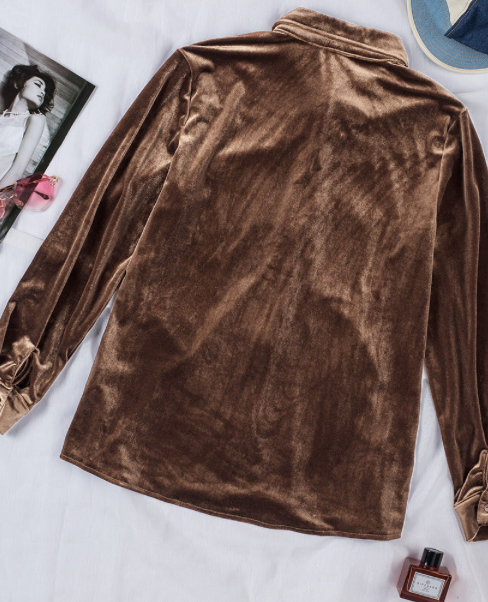 Brown Vintage Velvet Pocket Long Sleeve Blouse
